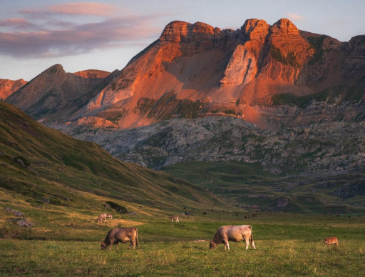 Conectando los Valles Occidentales: innovación que nace del territorio