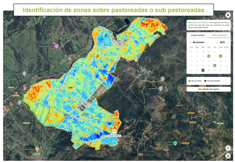 Ganadería 4.0 en Castilla-La Mancha: cuando el pastoreo deja de ser “ir a mirar” y pasa a ser “saber”