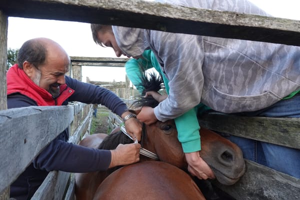 Ixorigue colabora con “Ruraltxa” para mejorar los hábitats de montaña