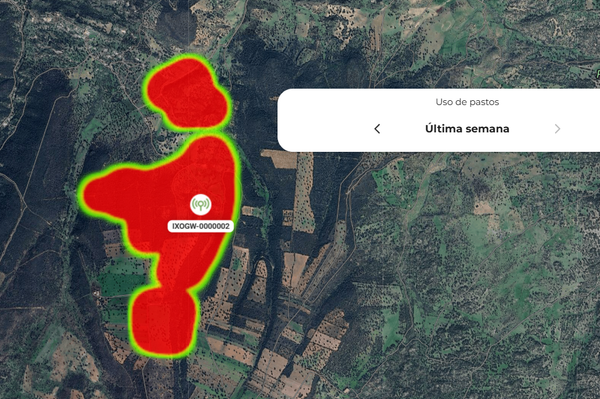 Control de carga ganadera para tener pasto de calidad