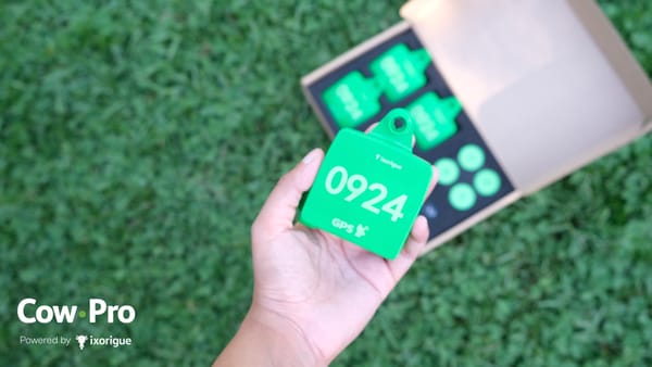 CowPro: la nueva forma de monitorizar tu ganado. Más pequeño, más preciso, más accesible.