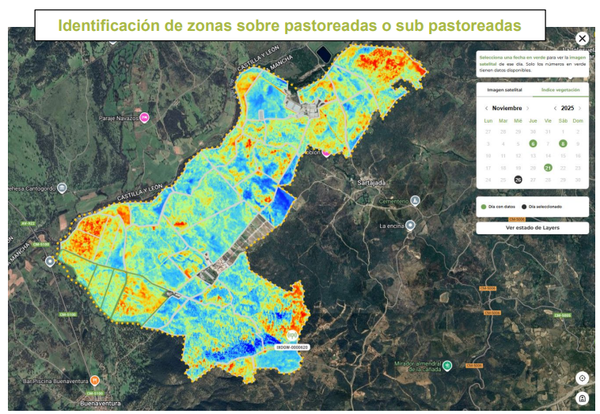 Ganadería 4.0 en Castilla-La Mancha: cuando el pastoreo deja de ser “ir a mirar” y pasa a ser “saber”